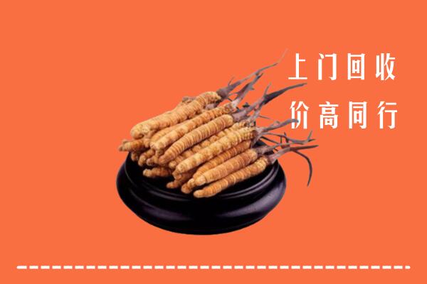 附近收购：兰考县冬虫夏草回收多少钱每克